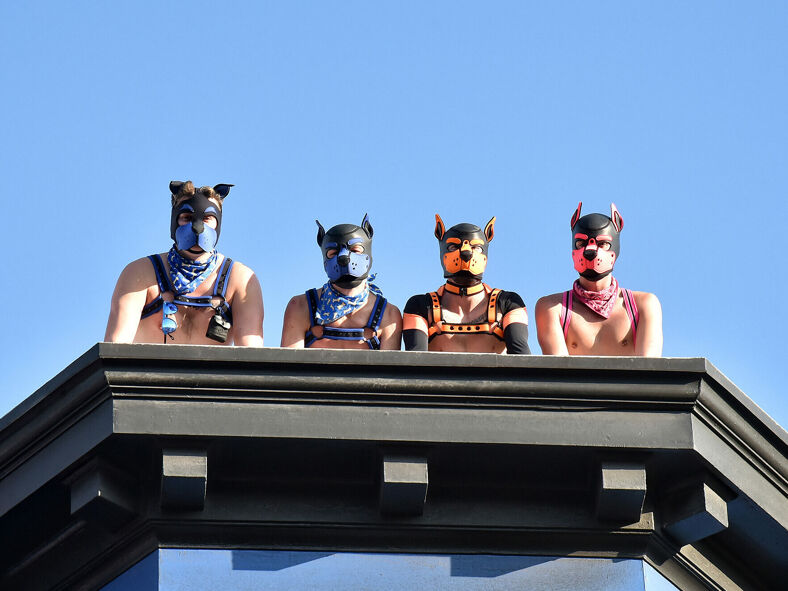 Four people in pup play masks on a roof.