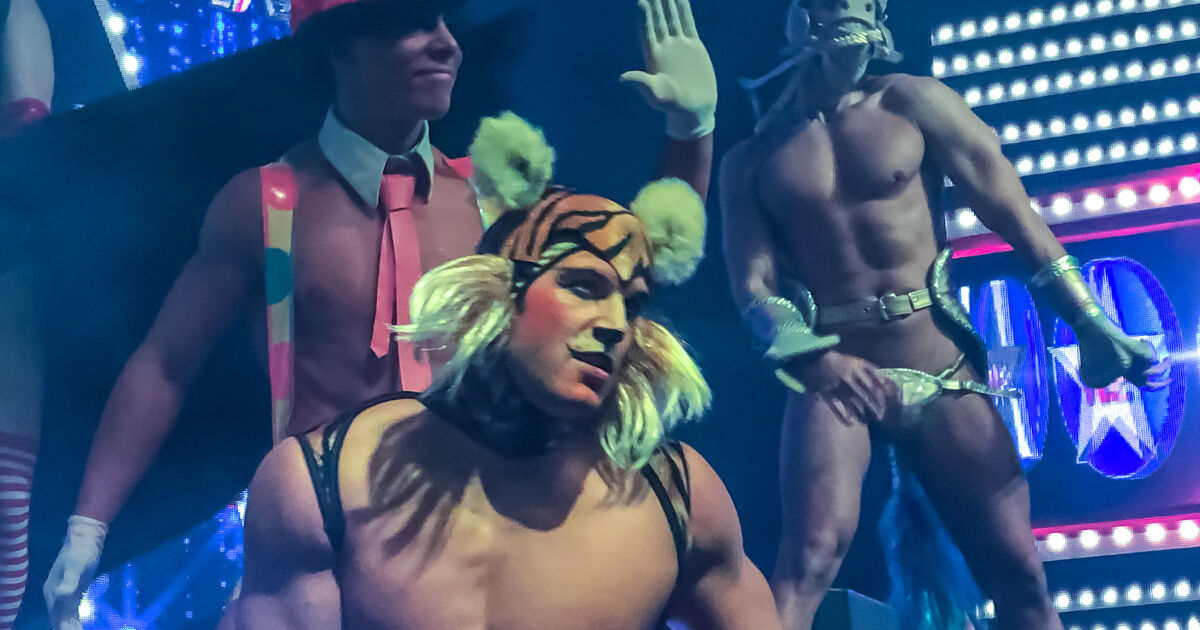 Bars Archives GayCities bars-archives-gaycities